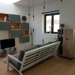 Uitzicht Op Het Mas Antwerpen